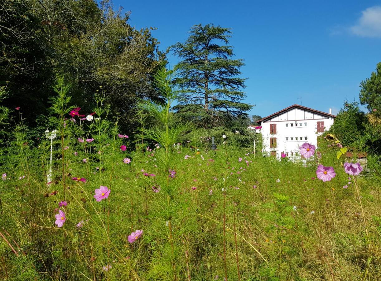 Hotel Pyrenees Atlantique Saint-Pée-sur-Nivelle 외부 사진